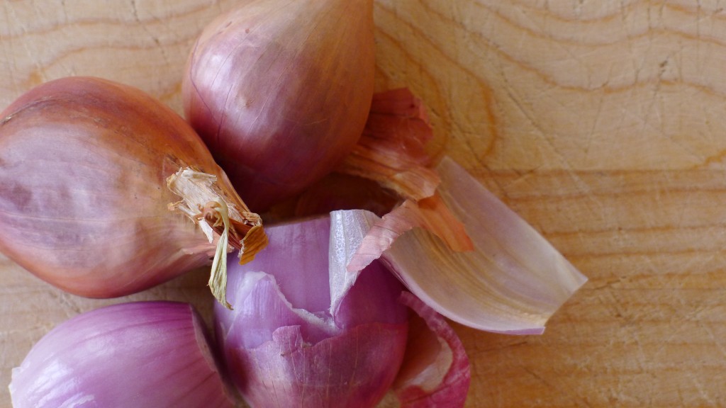 spring-lamb-stew-shallots