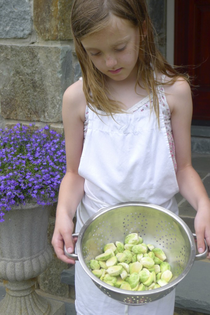 roasted-brussel-sprouts-ava