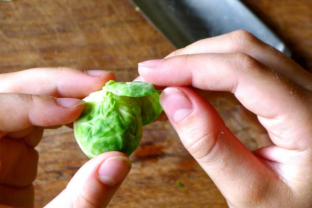 roasted-brussel-sprouts-hands