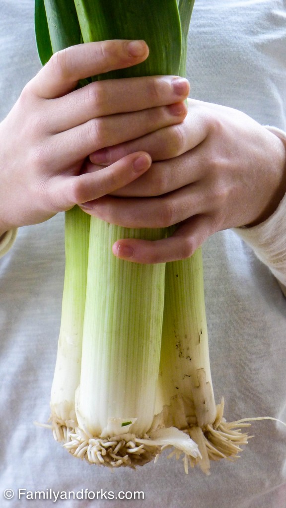 chicken-in-a-pot-leeks