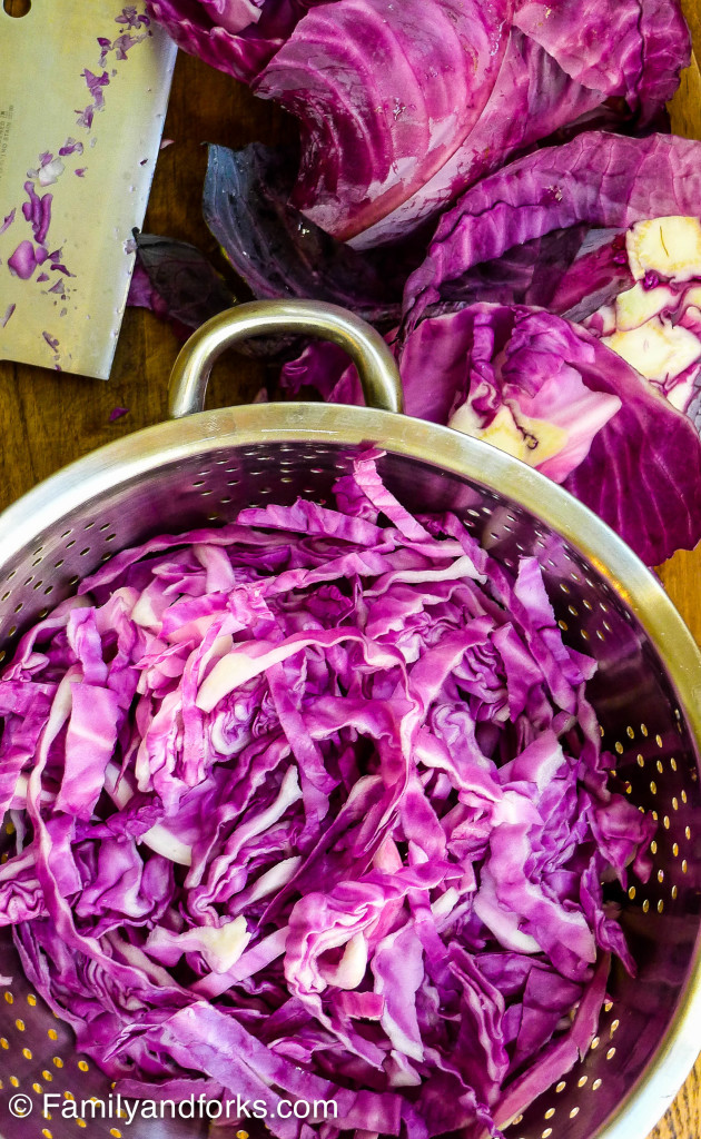 L1050379-2Family and forks cherry