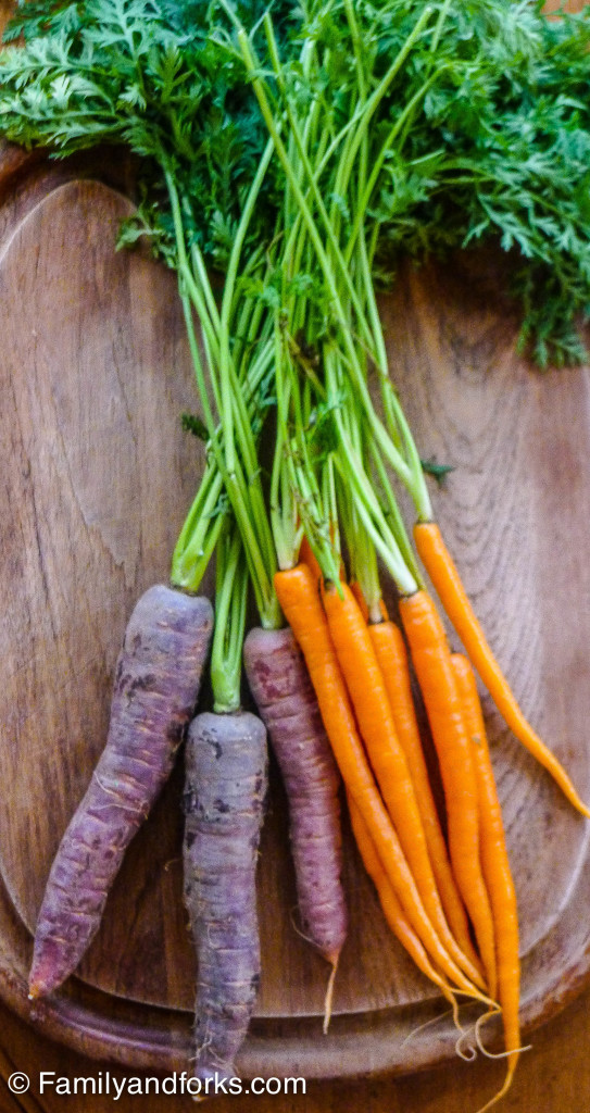 L1020427Family and forks cherry